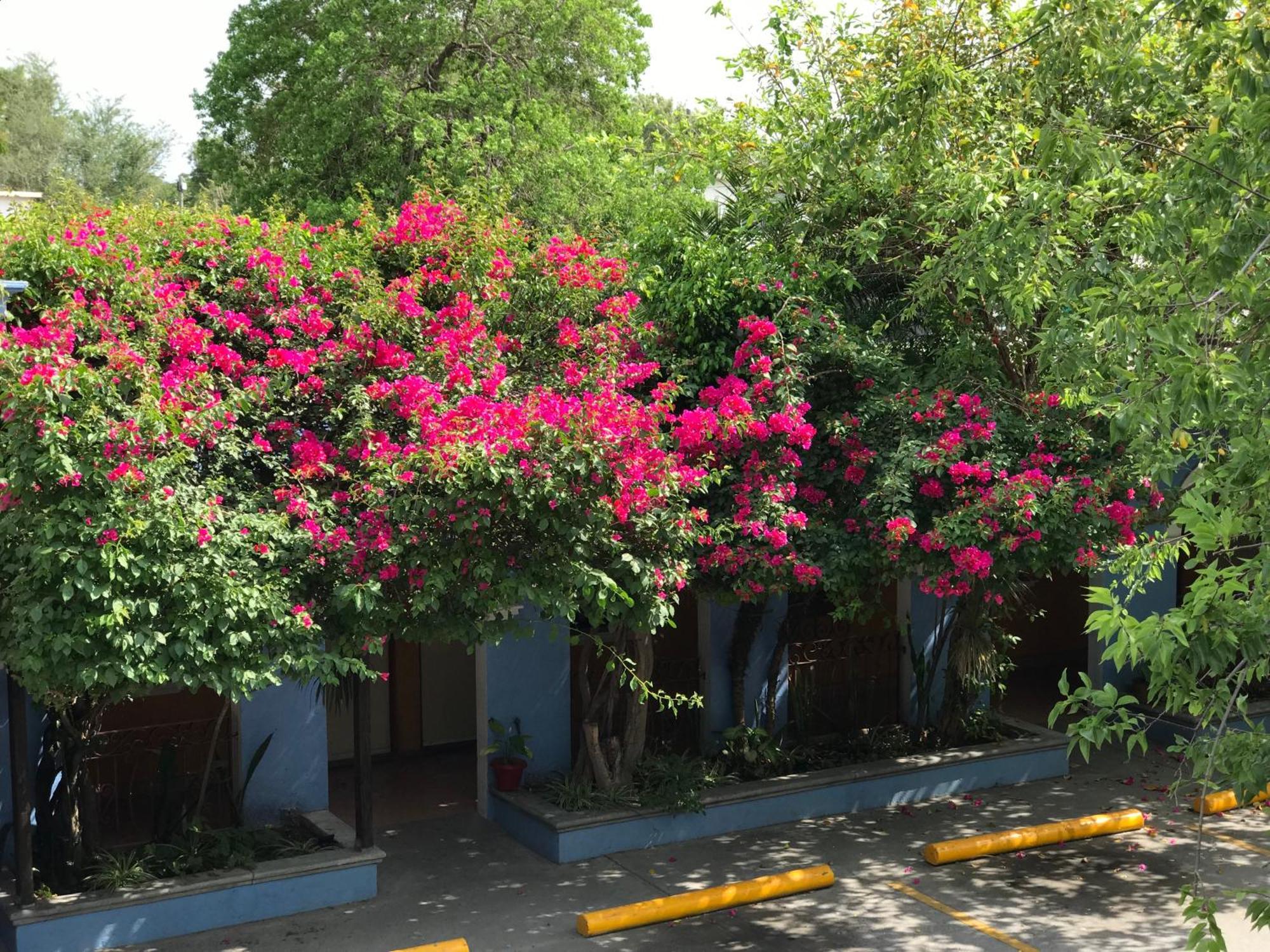מטמורוס Hotel Hacienda Del Viejo מראה חיצוני תמונה