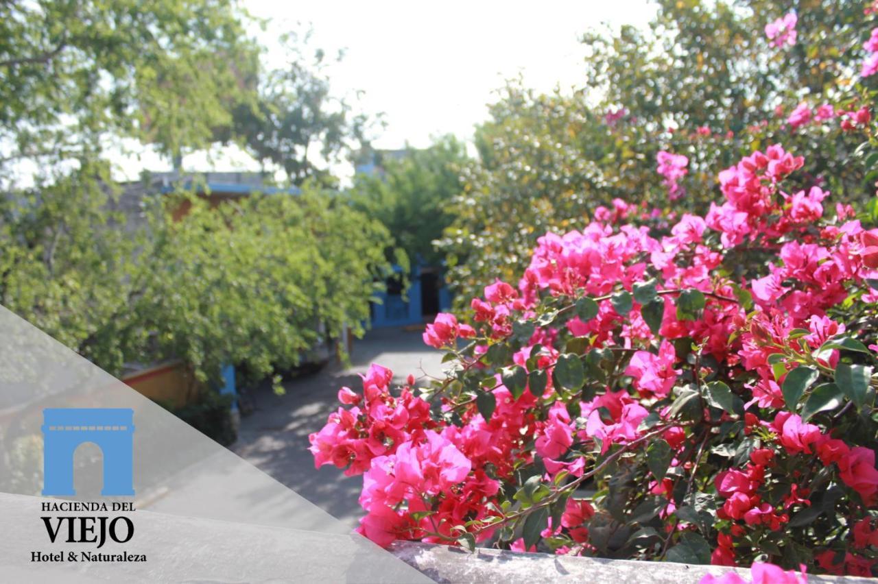 מטמורוס Hotel Hacienda Del Viejo מראה חיצוני תמונה