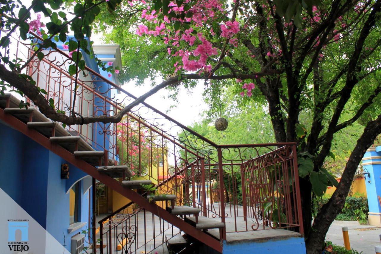 מטמורוס Hotel Hacienda Del Viejo מראה חיצוני תמונה